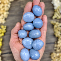 Angelite Tumbled Stone