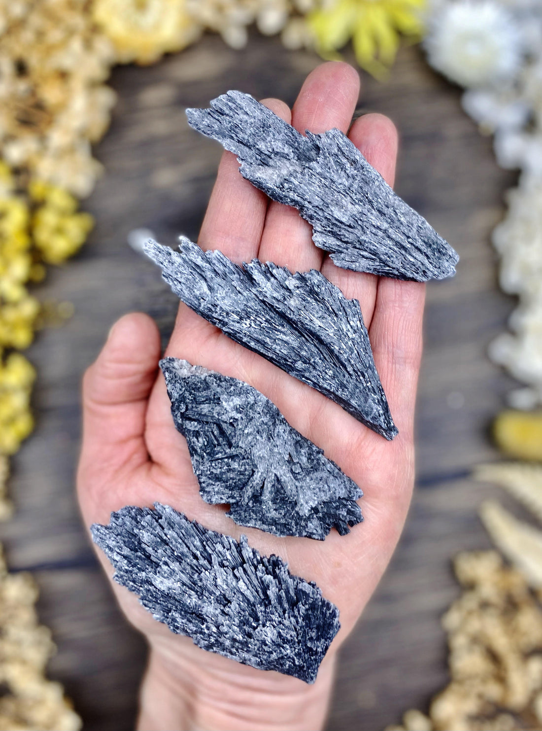 Black Kyanite Large