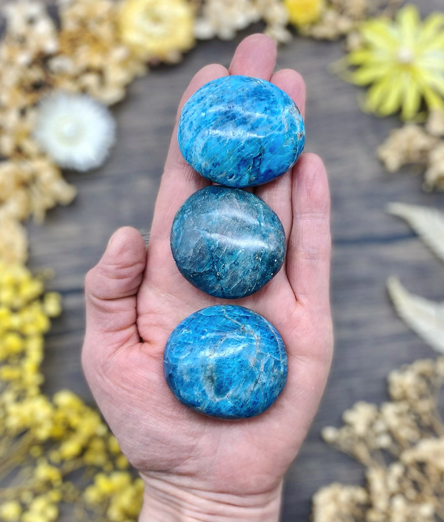 Blue Apatite Palm Stone Large