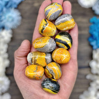 Bumble Bee Jasper Tumbled Stone