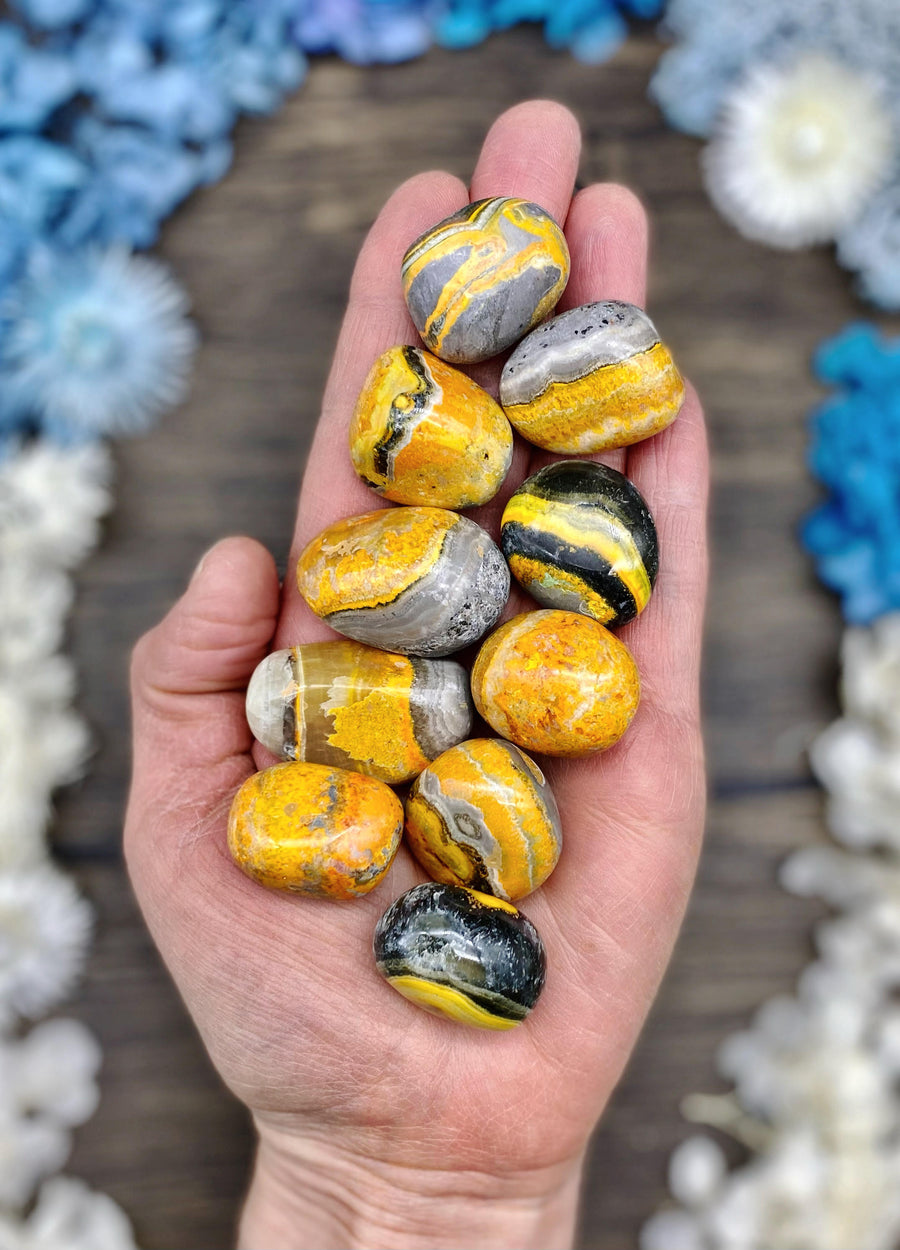 Bumble Bee Jasper Tumbled Stone