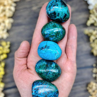 Chrysocolla Palm Stone