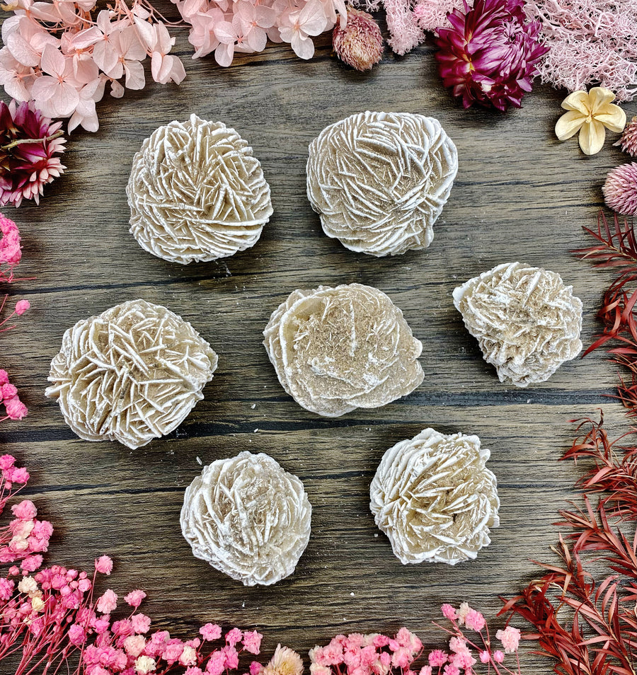 Desert Rose Cluster Medium