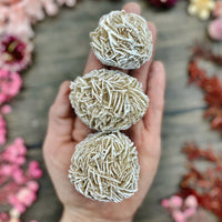 Desert Rose Cluster Medium