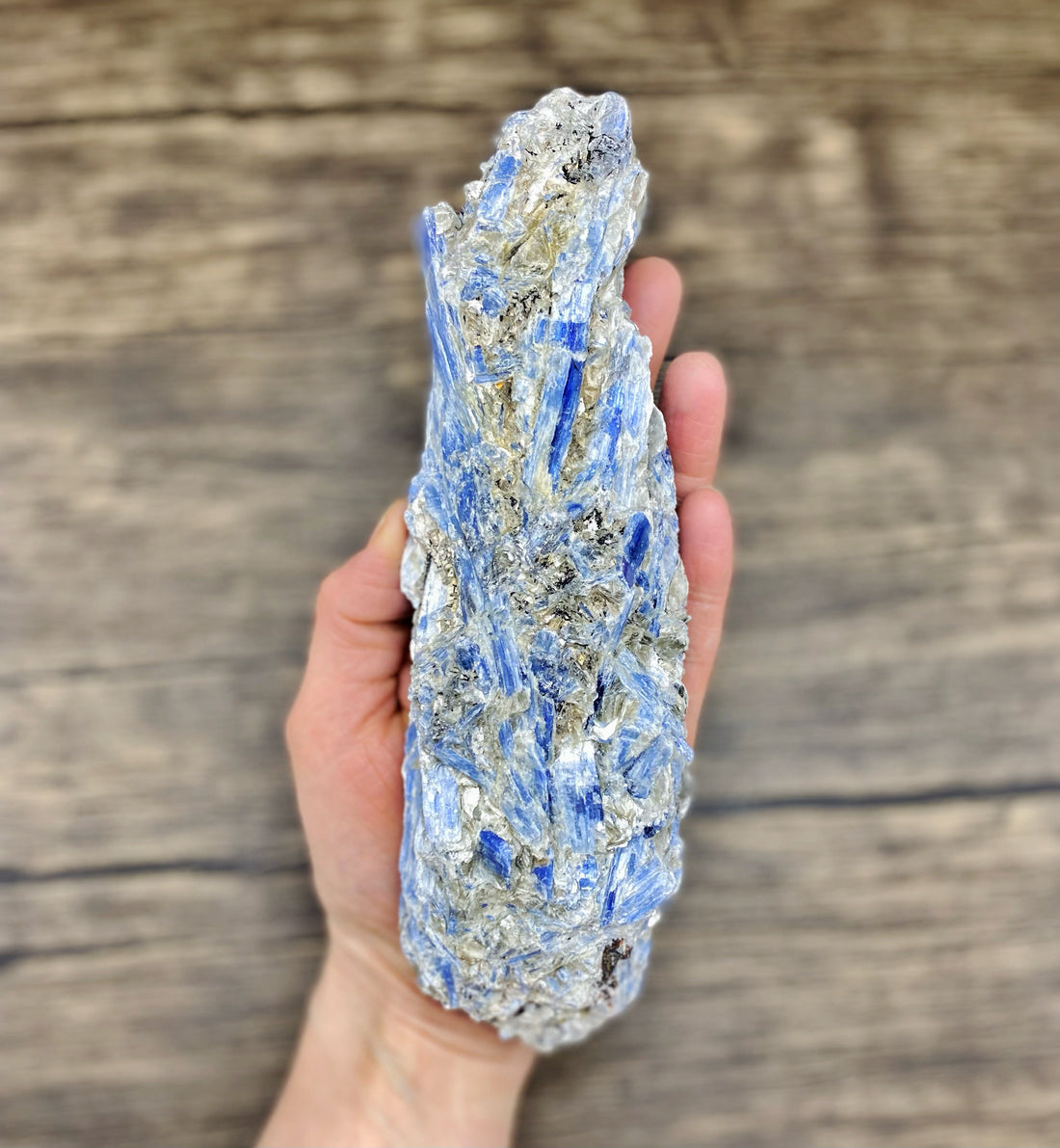 Blue Kyanite Large $85