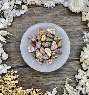 Leopard Jasper Tumbled Stone