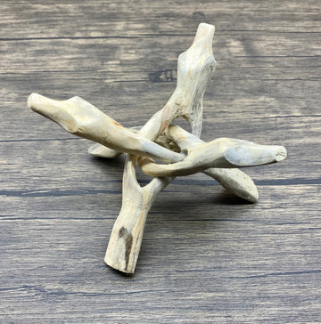 Tripod Stand Medium