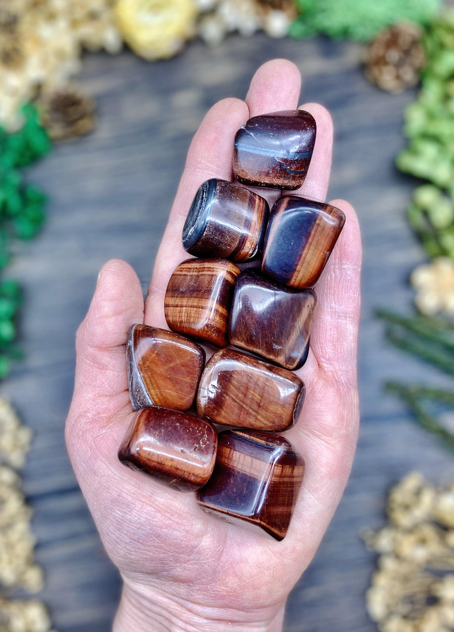 Red Tigers Eye Tumbled Large