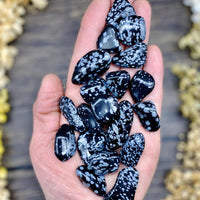 Snowflake Obsidian Tumbled