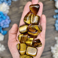 Tigers Eye Tumbled Stone Large