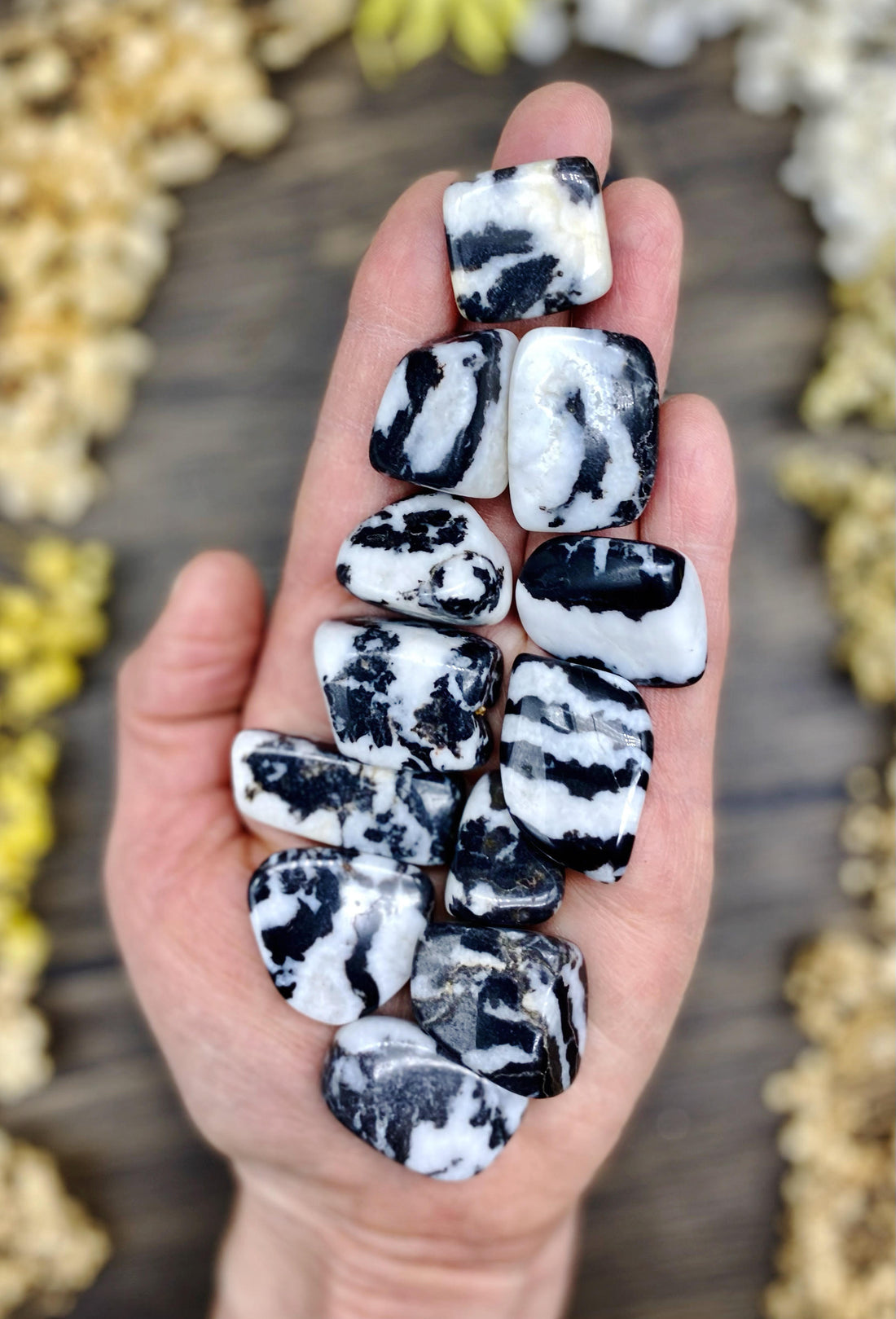 Zebra Jasper Tumbled