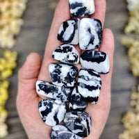 Zebra Jasper Tumbled